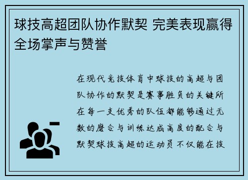 球技高超团队协作默契 完美表现赢得全场掌声与赞誉